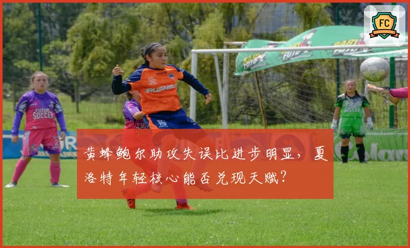 黄蜂鲍尔助攻失误比进步明显，夏洛特年轻核心能否兑现天赋？